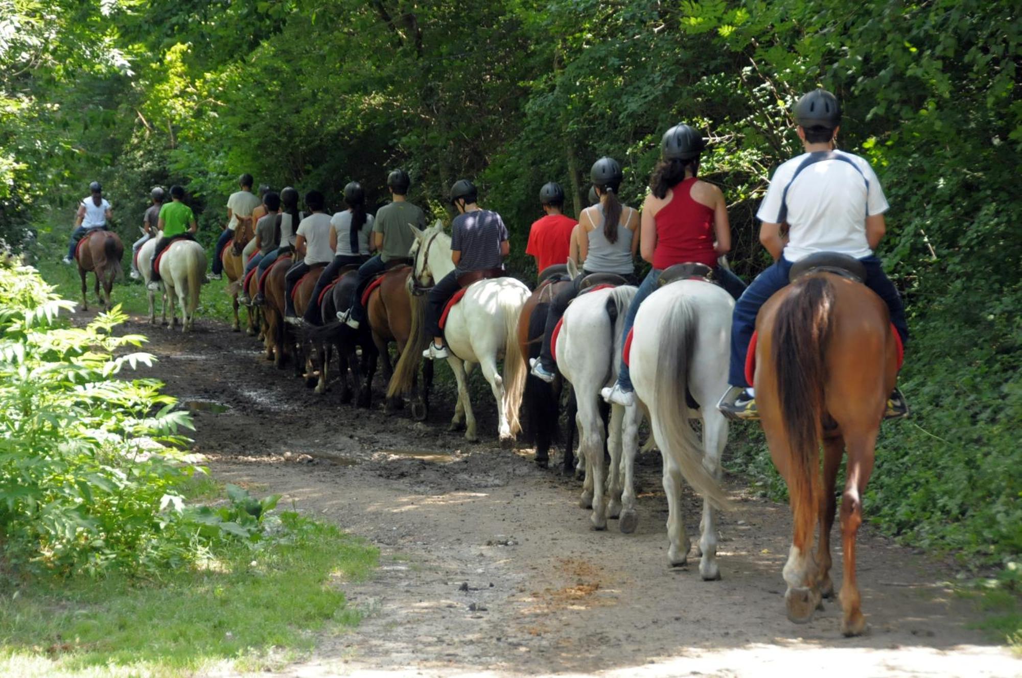 Camping Llavorsí Εξωτερικό φωτογραφία