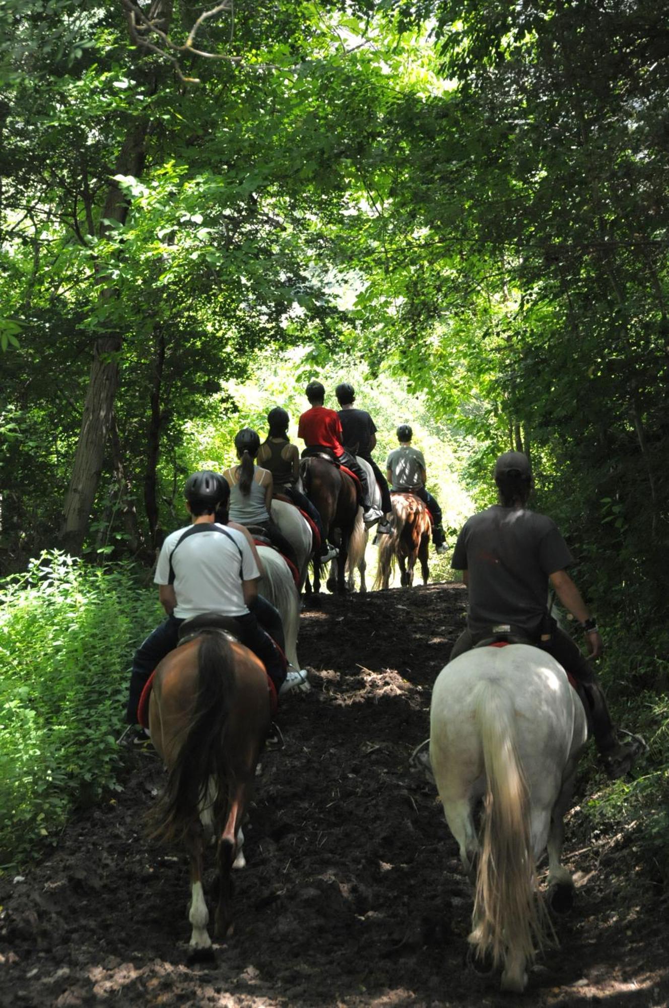 Camping Llavorsí Εξωτερικό φωτογραφία