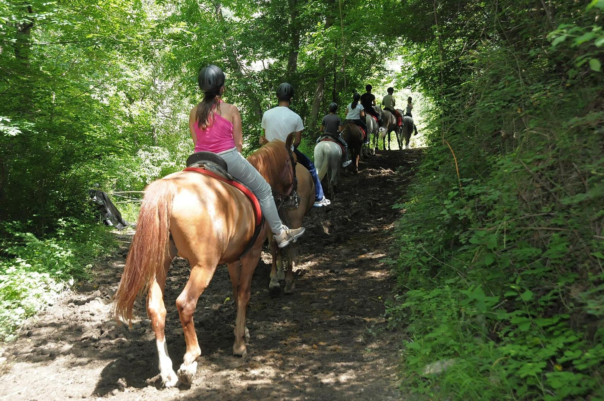 Camping Llavorsí Εξωτερικό φωτογραφία